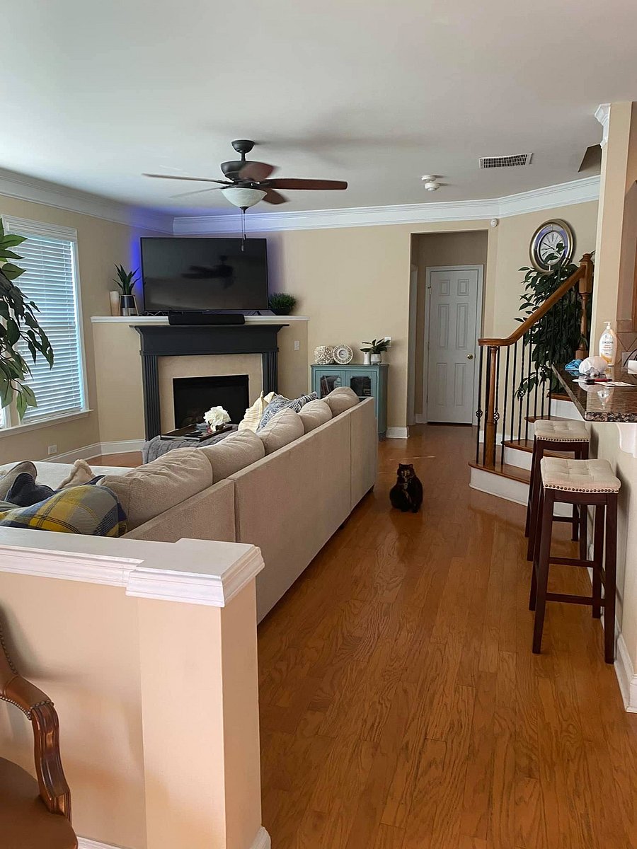 Furnished Finder property 492955_2 photo 14