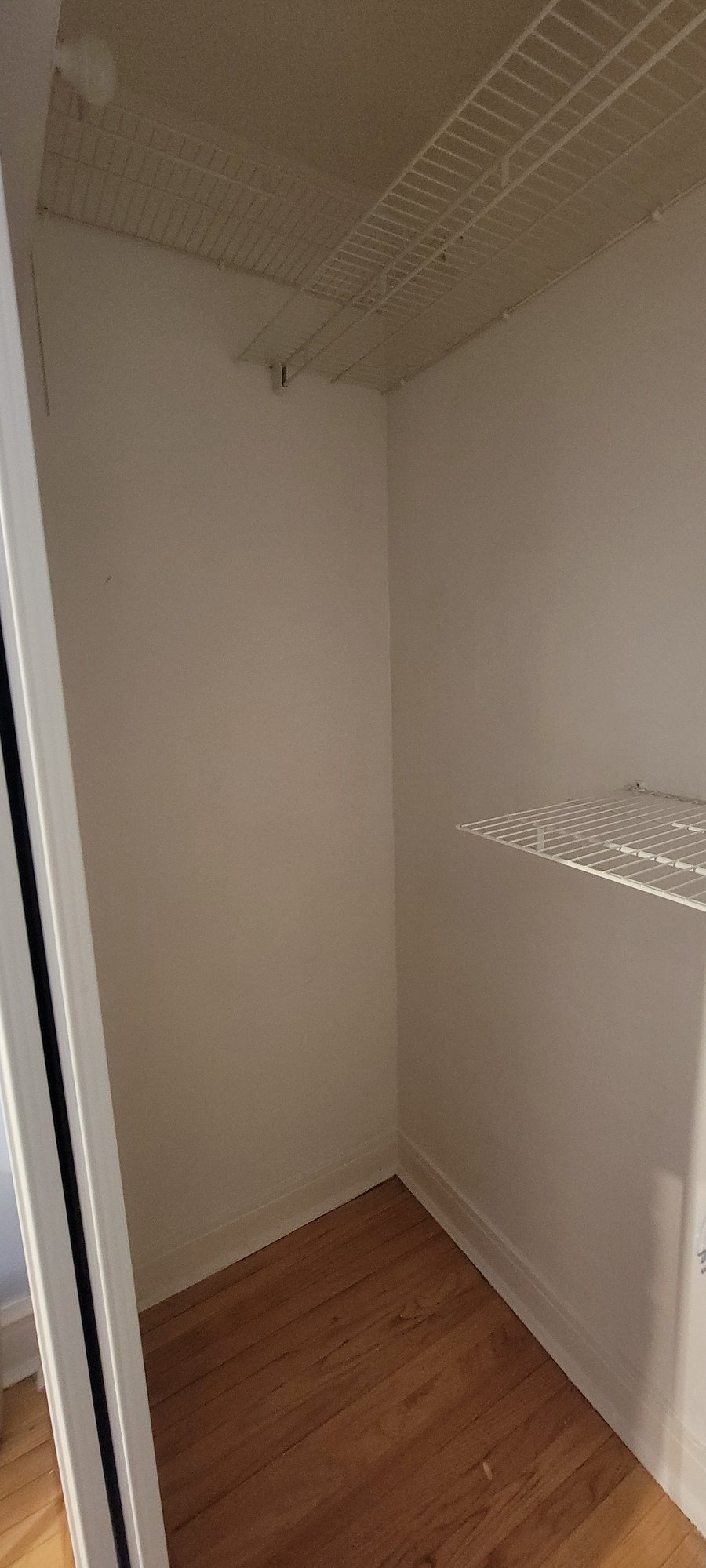 Furnished Finder property 493103_1 photo 19