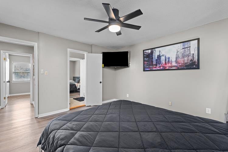 Furnished Finder property 493339_1 photo 3