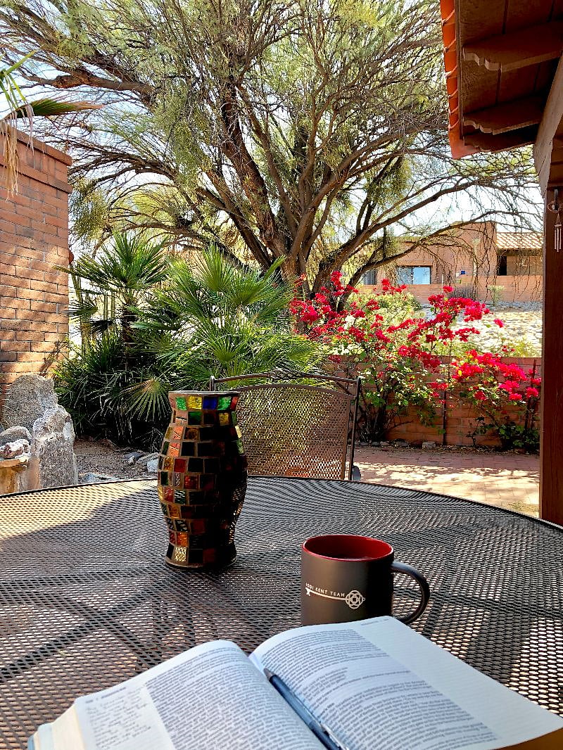 Furnished Finder property 493352_1 photo 4
