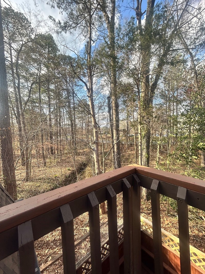 Furnished Finder property 493380_1 photo 17