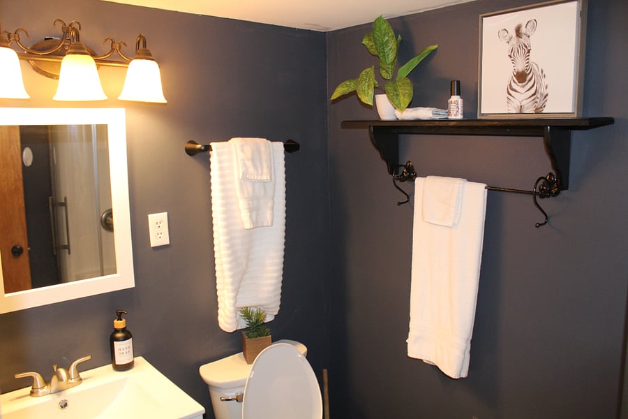 Furnished Finder property 493454_1 photo 15