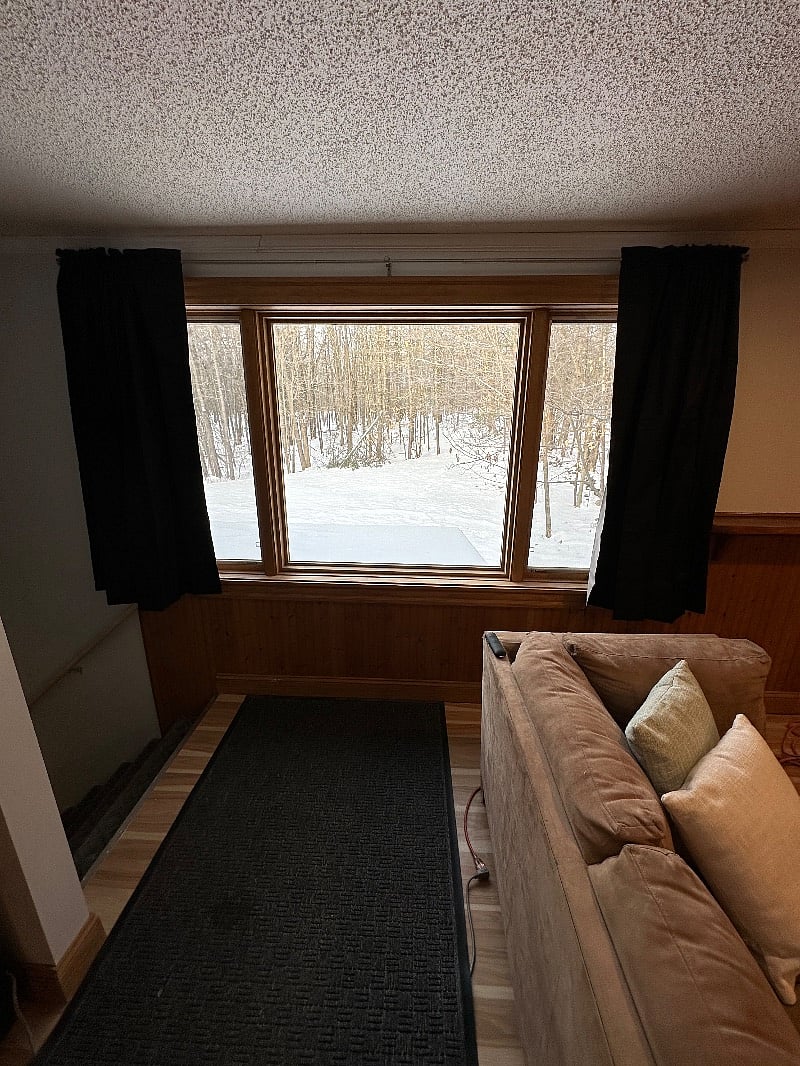 View to the back woods 