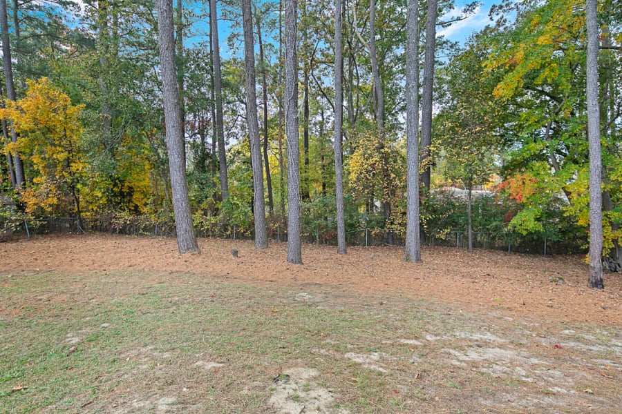 Furnished Finder property 493532_2 photo 35