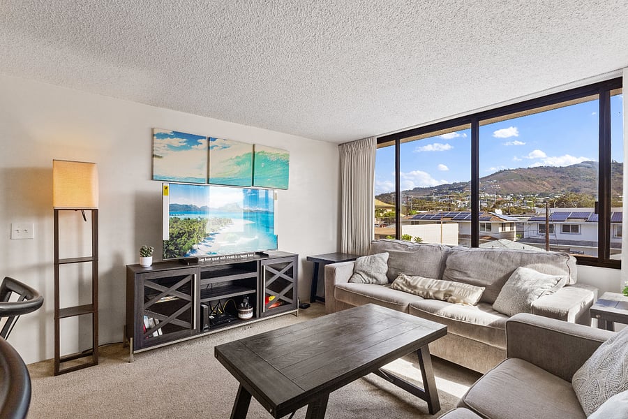Living room - Mountain View and mountainous cross breezes. Pull out couch. 
