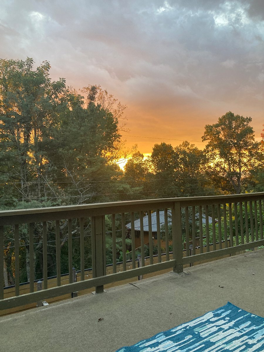 Furnished Finder property 493576_1 photo 4