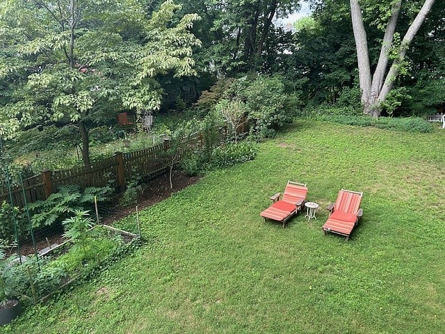 back yard