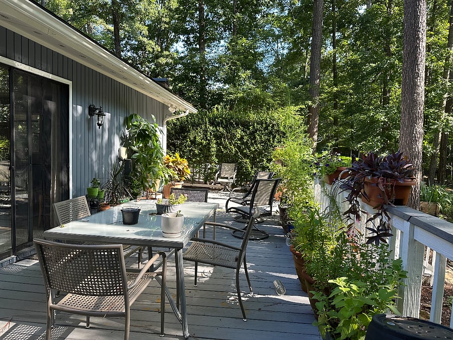 Furnished Finder property 493644_1 photo 23
