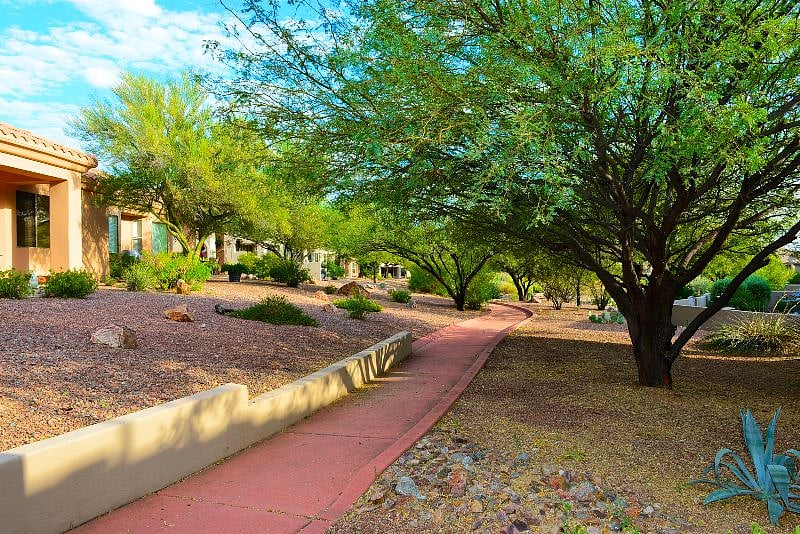 walking path out the back patio