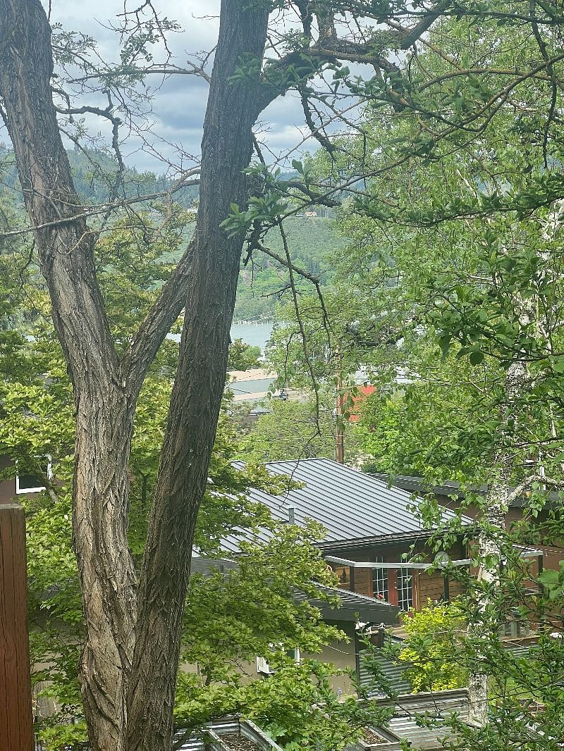 Columbia River and Hood River Views