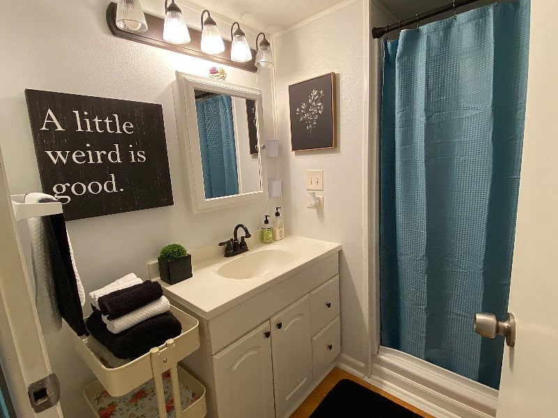 Furnished Finder property 493863_1 photo 13