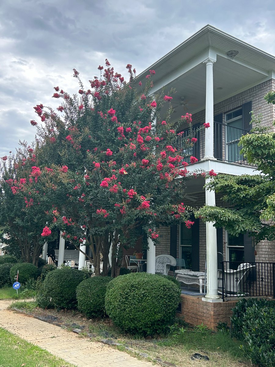 An angle of the exterior of the front of the house.