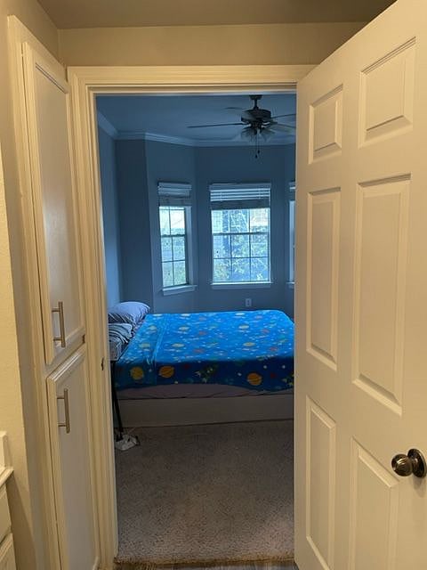 Furnished Finder property 493919_1 photo 21