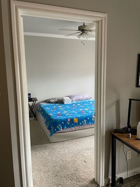 Furnished Finder property 493919_1 photo 23