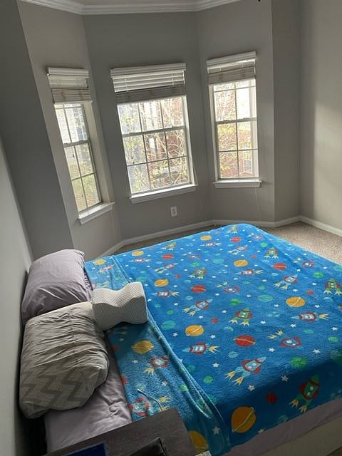 Furnished Finder property 493919_1 photo 24