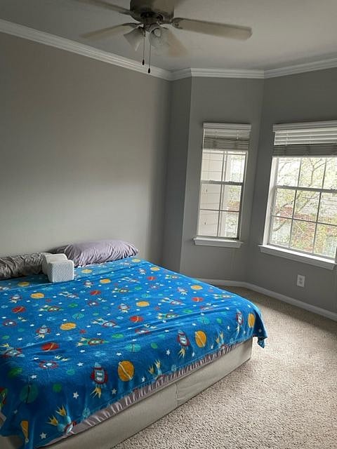 Furnished Finder property 493919_1 photo 27