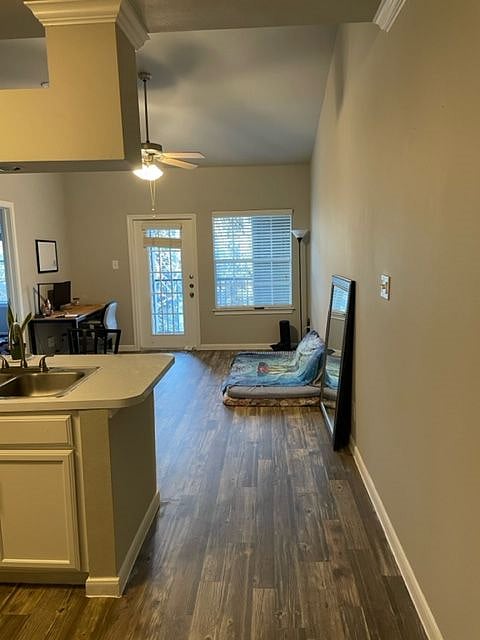 Furnished Finder property 493919_1 photo 48