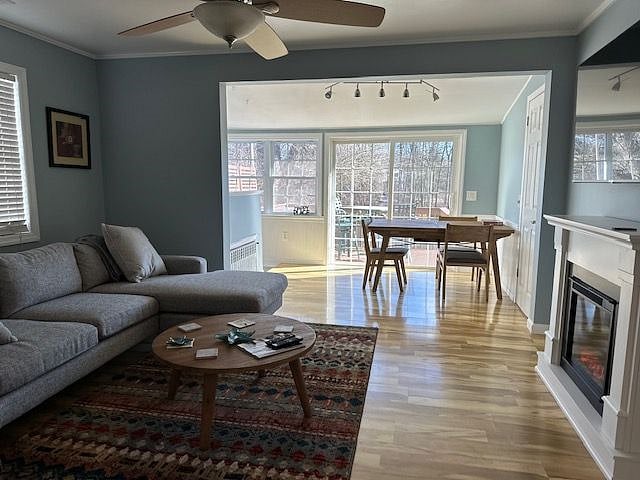 Furnished Finder property 493999_1 photo 6