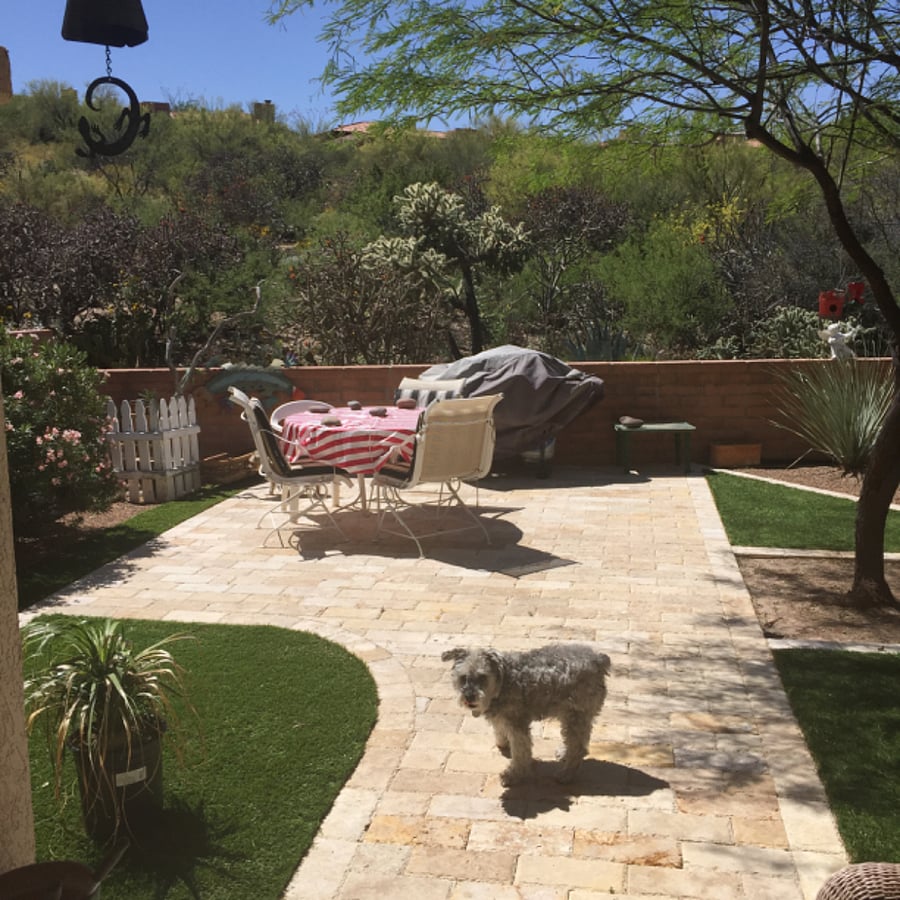 Furnished Finder property 494000_1 photo 16