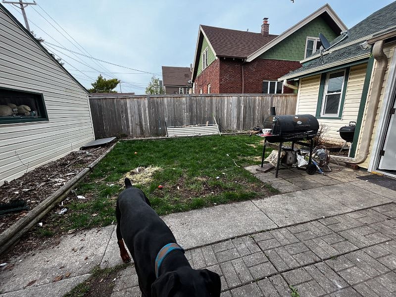 Back yard