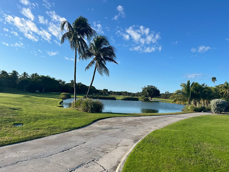 Furnished Finder property 494419_1 photo 17