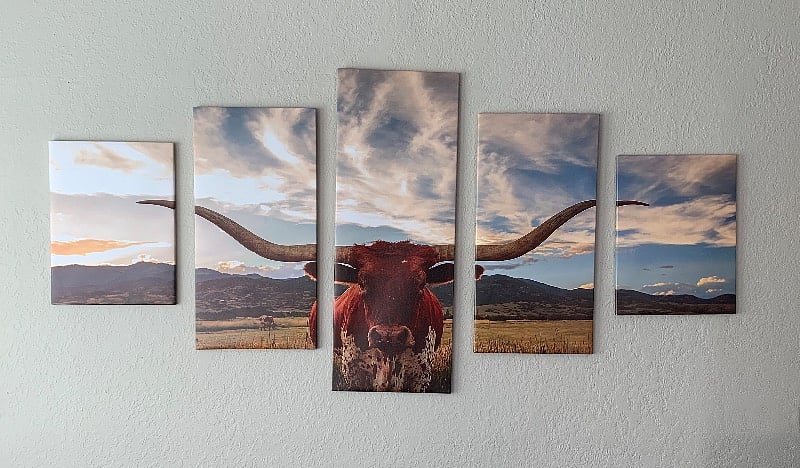 A little touch of Fort Worth :)