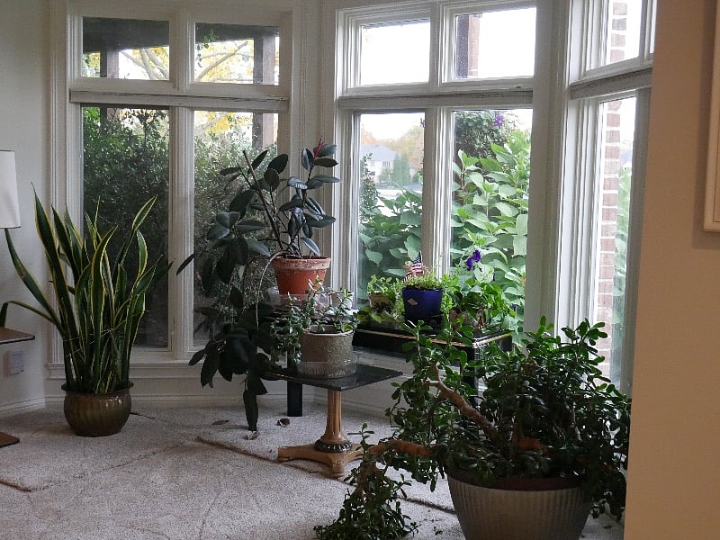 dining nook gardens