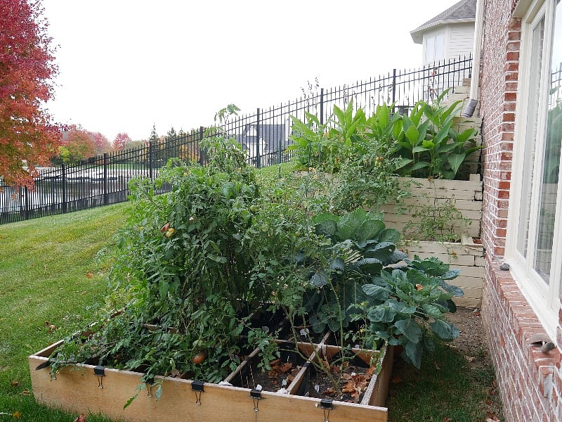   patio gardens