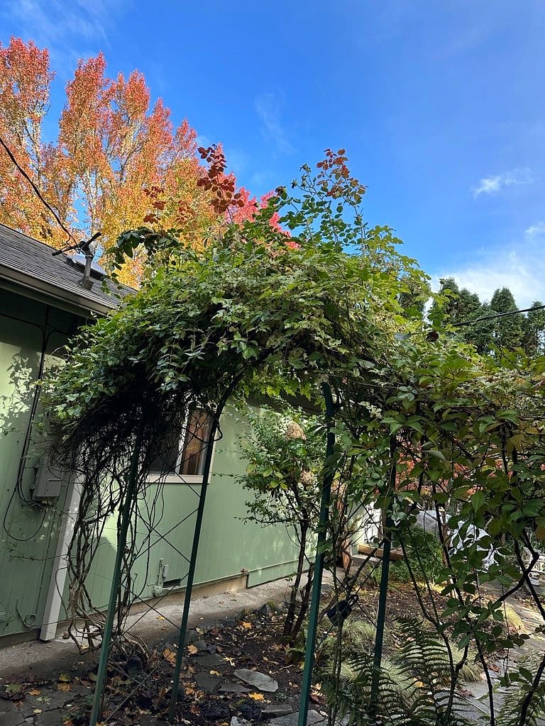Furnished Finder property 494736_1 photo 26