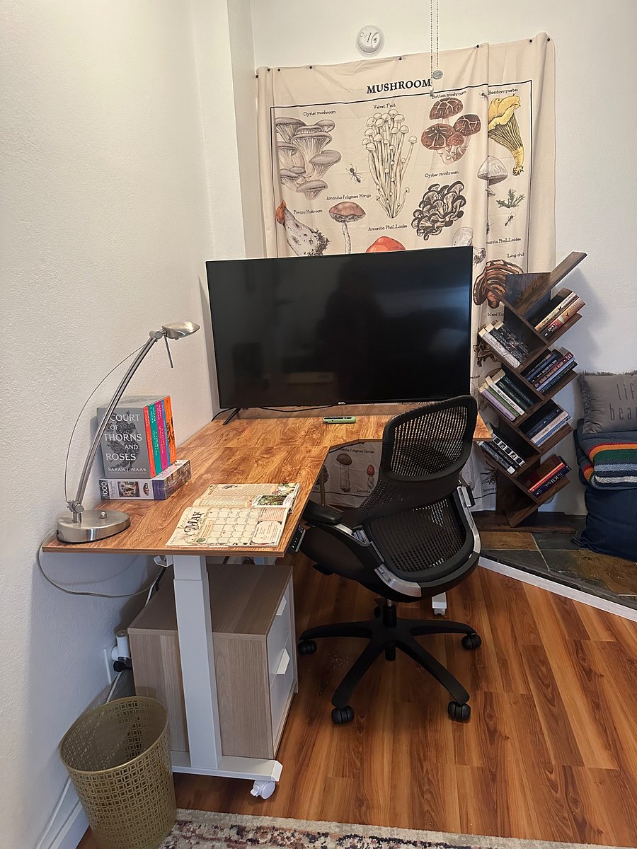 New addition 5/2025: 50 Smart TV and larger electric sit-stand desk.