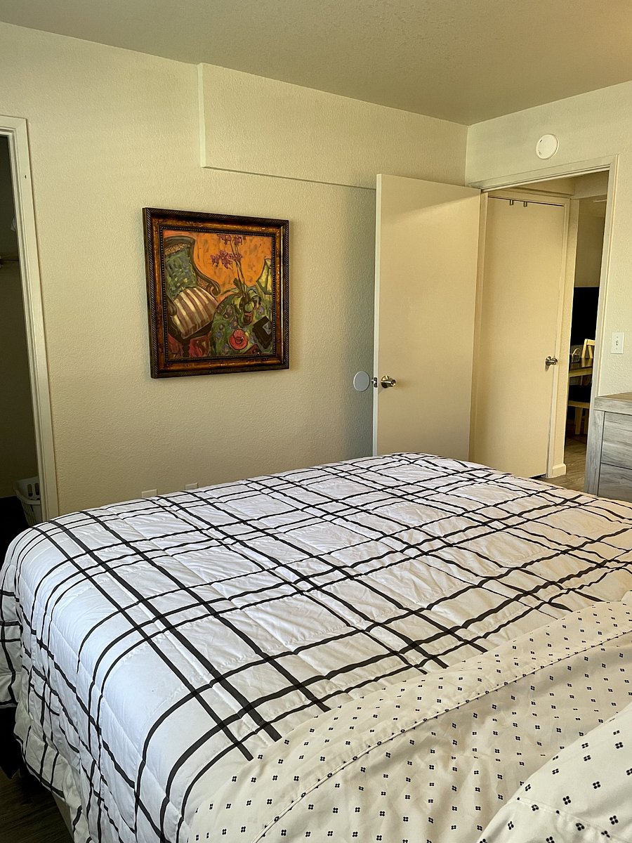 Furnished Finder property 494785_1 photo 10