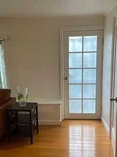 Backdoor to the yard