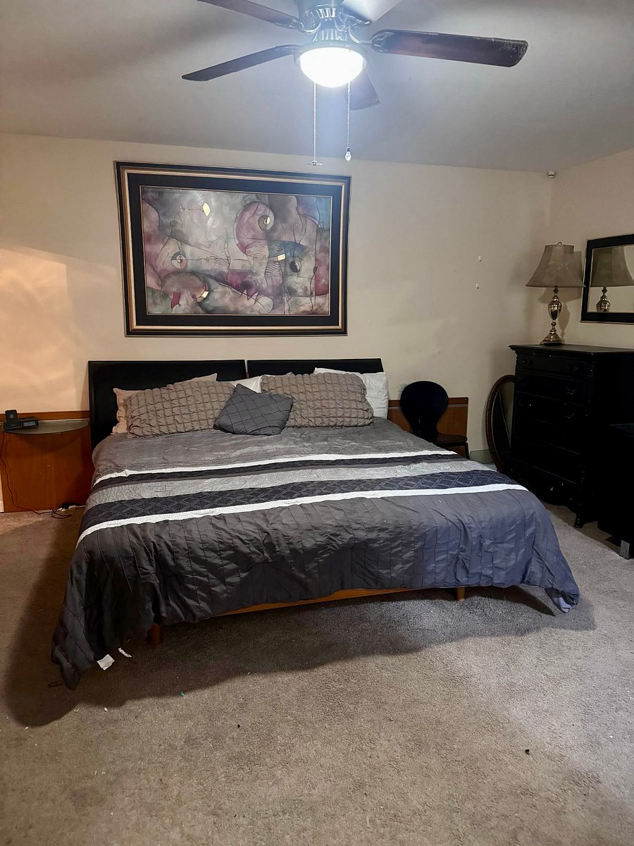 Furnished Finder property 495099_1 photo 27