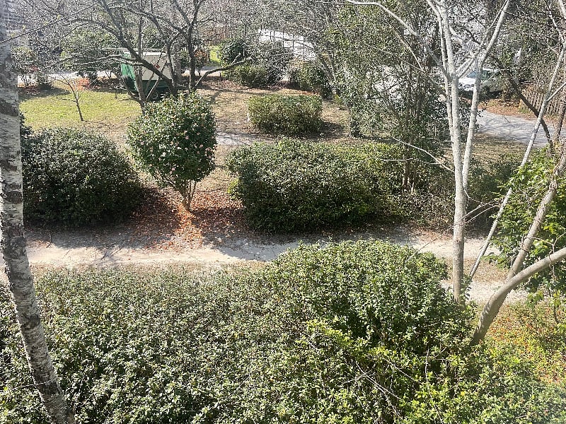 Furnished Finder property 495143_1 photo 16