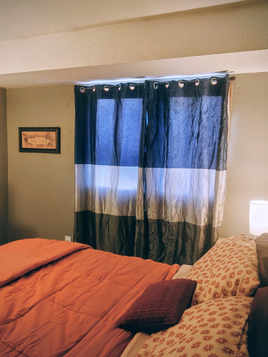 Furnished Finder property 495153_1 photo 24