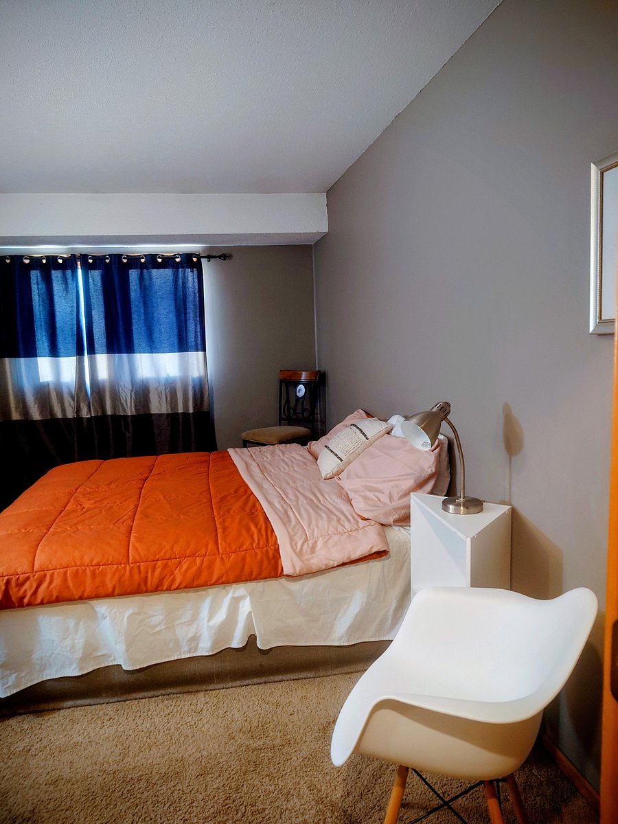 Furnished Finder property 495153_1 photo 5