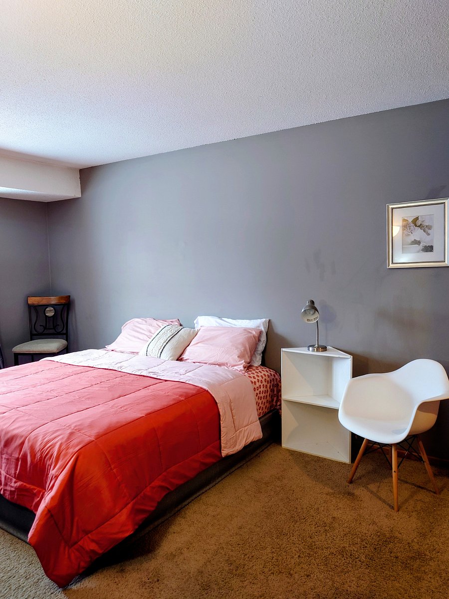 Furnished Finder property 495153_1 photo 30