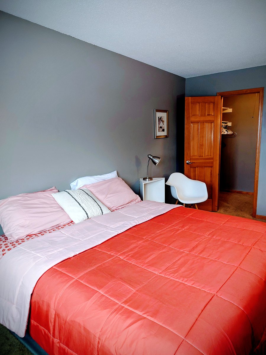 Furnished Finder property 495153_1 photo 7