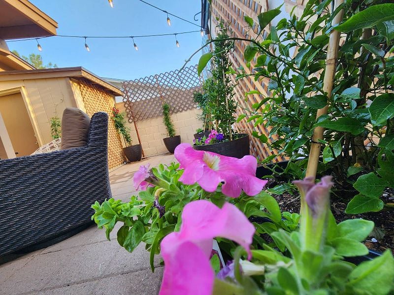Furnished Finder property 495205_1 photo 35