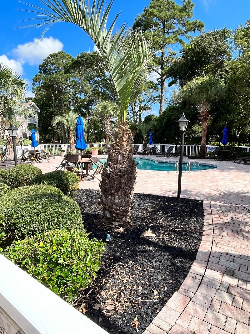Furnished Finder property 495319_1 photo 21