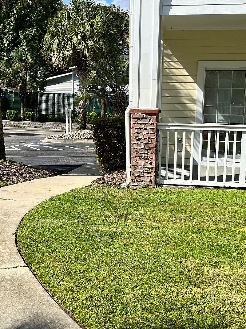Furnished Finder property 495319_1 photo 24