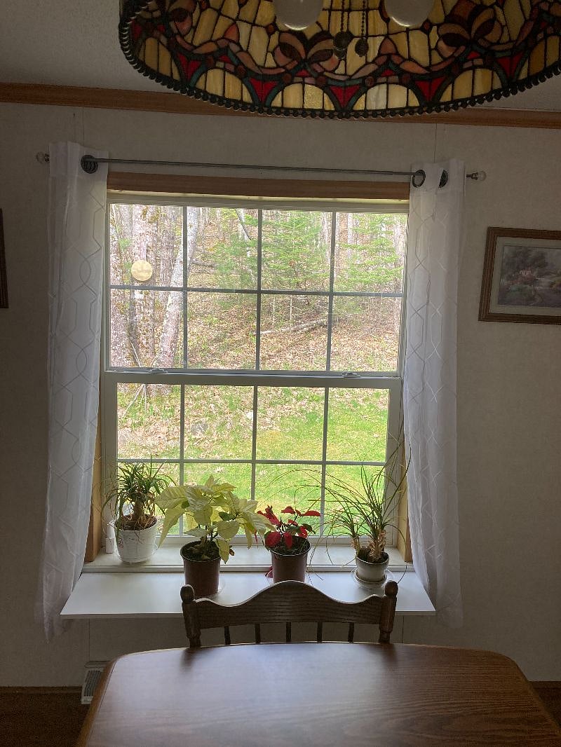 Dining Room Window view Outside