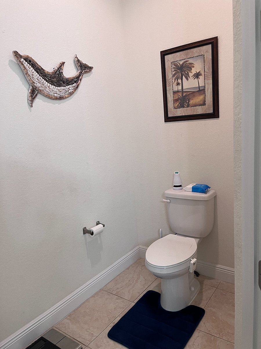 Furnished Finder property 495611_1 photo 17