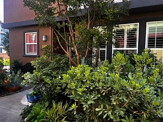Front Door Home Entry