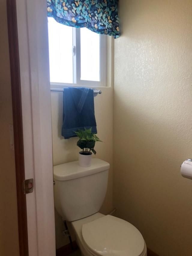 Furnished Finder property 495663_1 photo 15