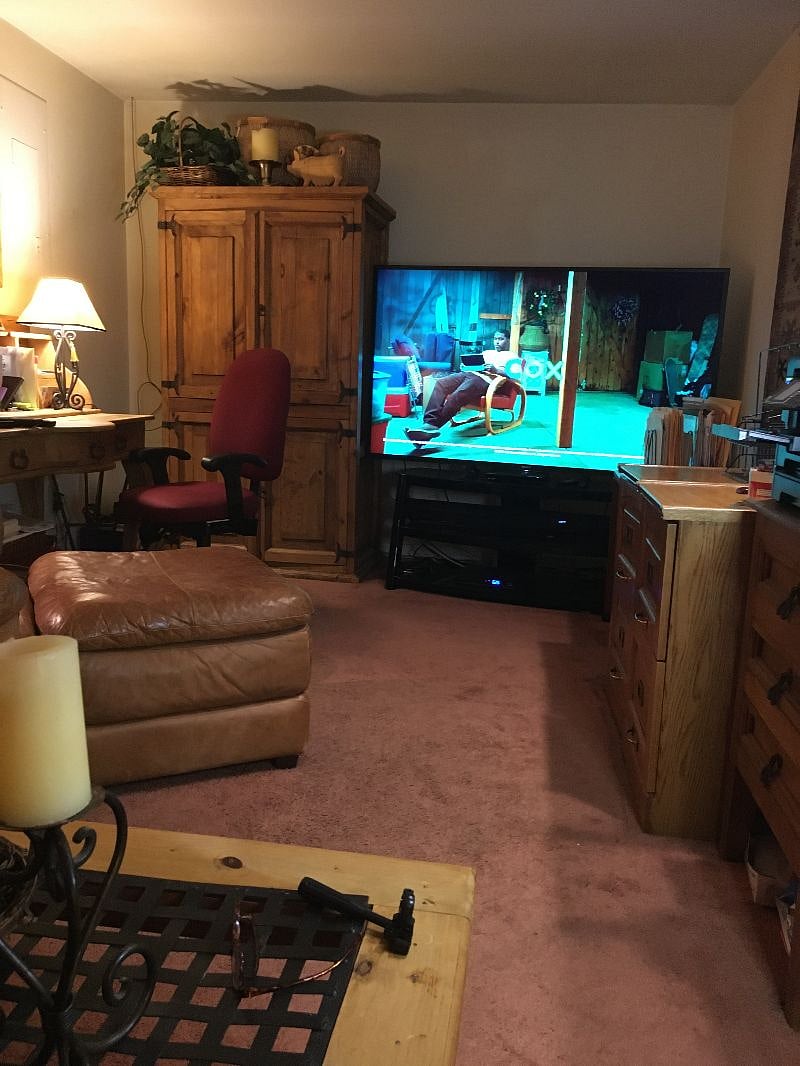 Lower Level Family Room/Office
