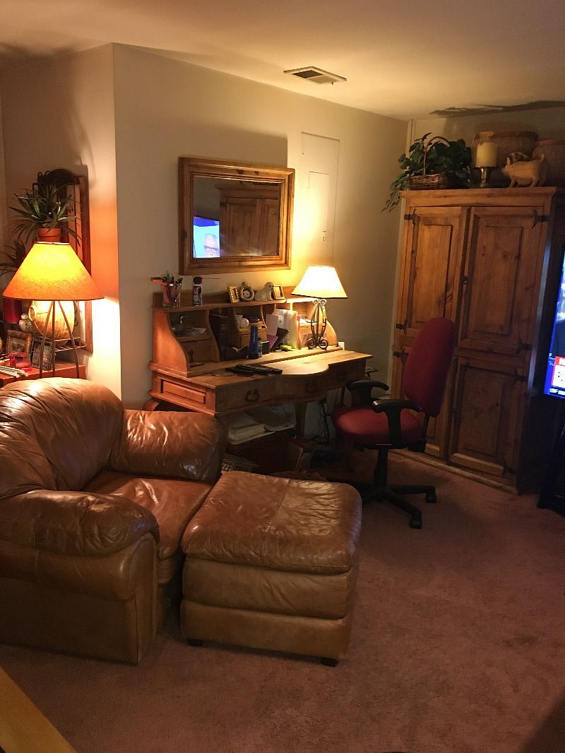 Lower Level Family Room/Office