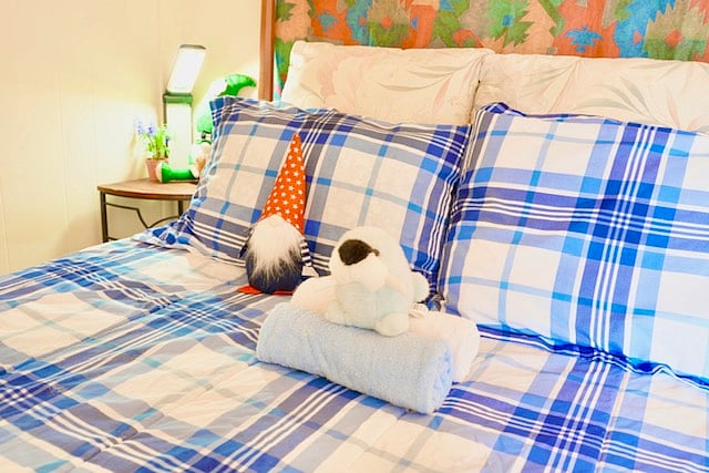 Bed