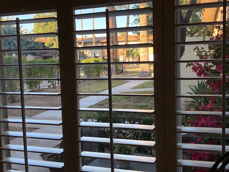 View of courtyard and pool from living room