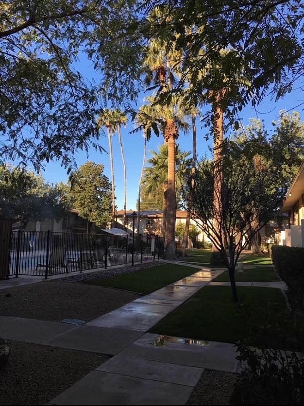 Looking out on the pool from the back patio